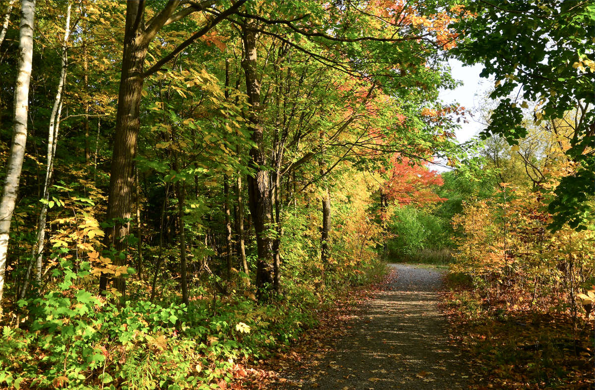 ���� �������� ����� �������  �� PhotoGeek.ru #������ ��� �������