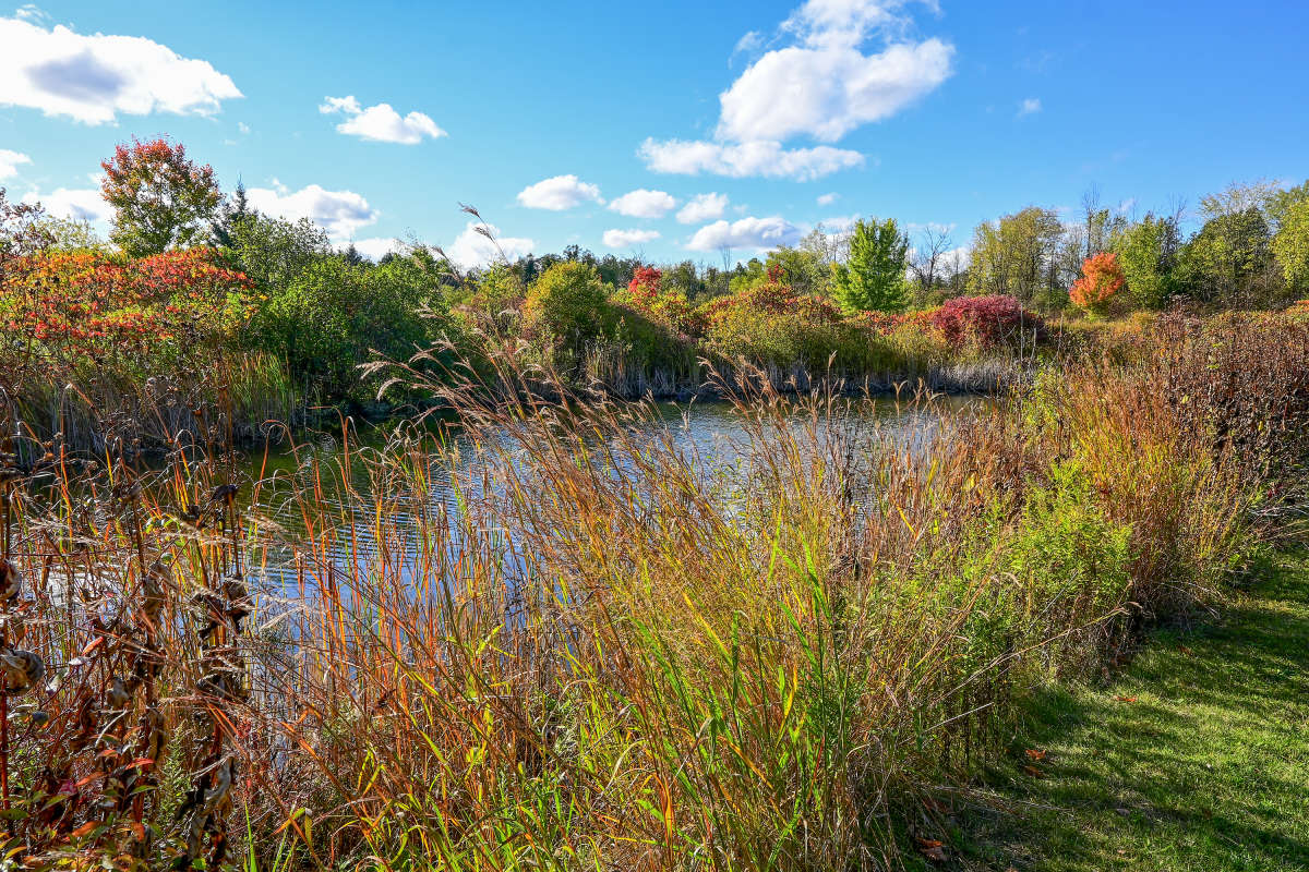 ����������� ����������� �������������� ����� �������  �� PhotoGeek.ru #������ ��� �������