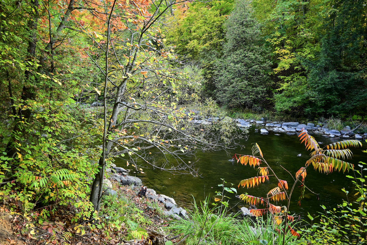 ����� - �������. ����� �������  �� PhotoGeek.ru #������ ��� �������