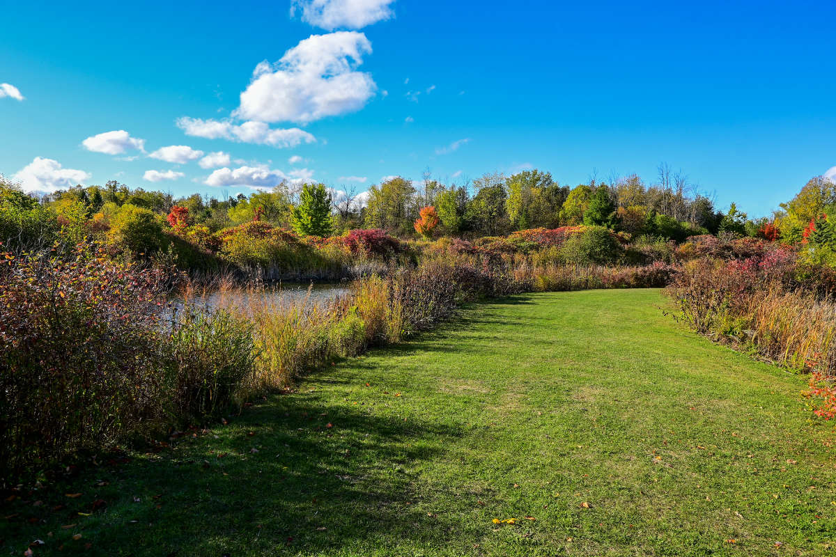 ��� �� ����� ��� �������� ����� �������  �� PhotoGeek.ru #������ ��� �������