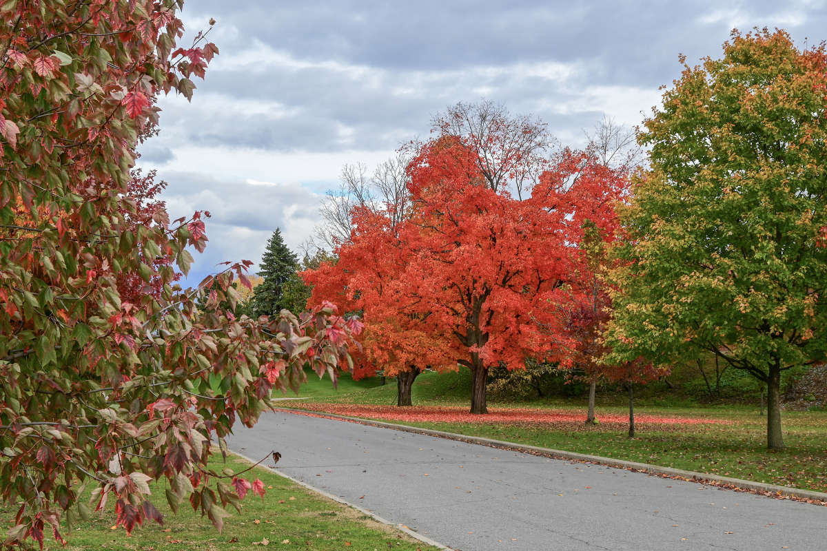 ������� � ������ ����� �������  �� PhotoGeek.ru #�����