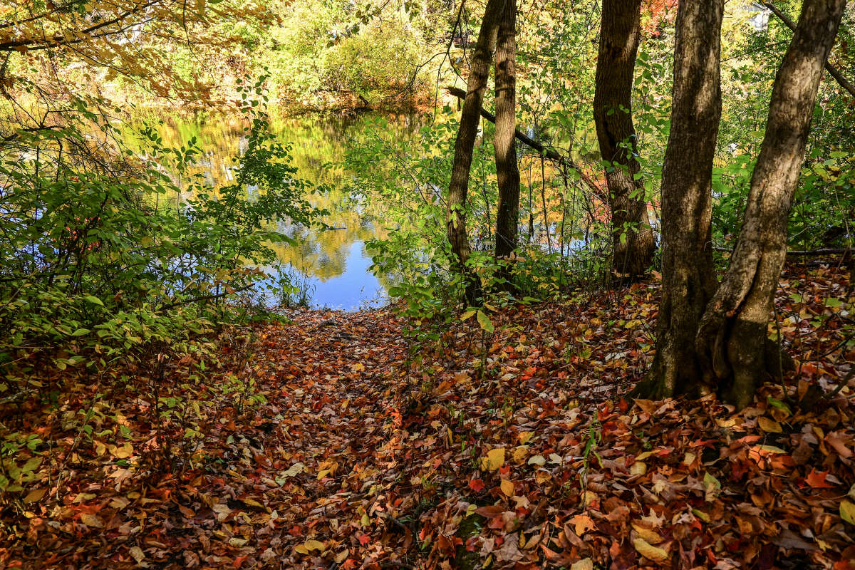 ��������� �� ����! ����� �������  �� PhotoGeek.ru #������ ��� �������