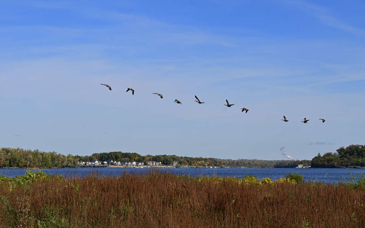 �������� ��� ���������� ����� �������  �� PhotoGeek.ru #�������� ��� #������ ��� �������