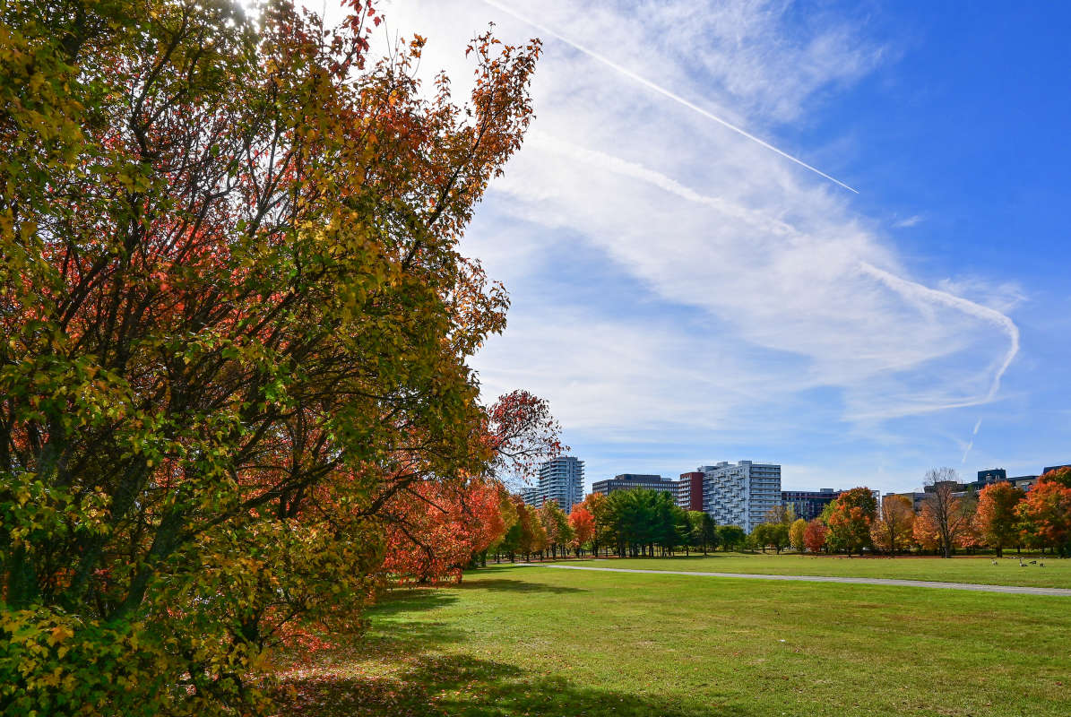 �� ���� ����� ������ ����� �������  �� PhotoGeek.ru #����� #������ ��� �������