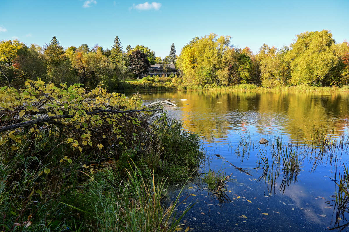 ����� ������� ����� �������  �� PhotoGeek.ru #������ ��� �������