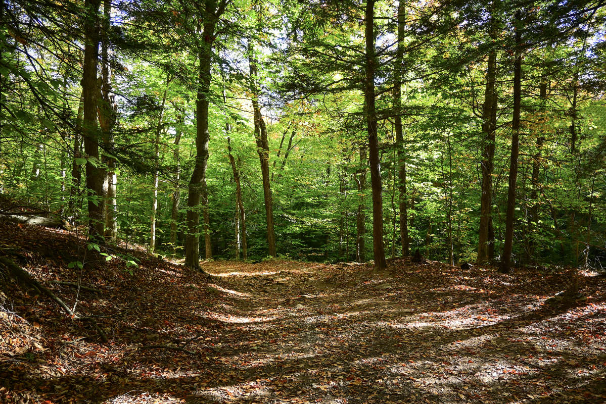 ��� �������� ����� �������  �� PhotoGeek.ru #������ ��� �������