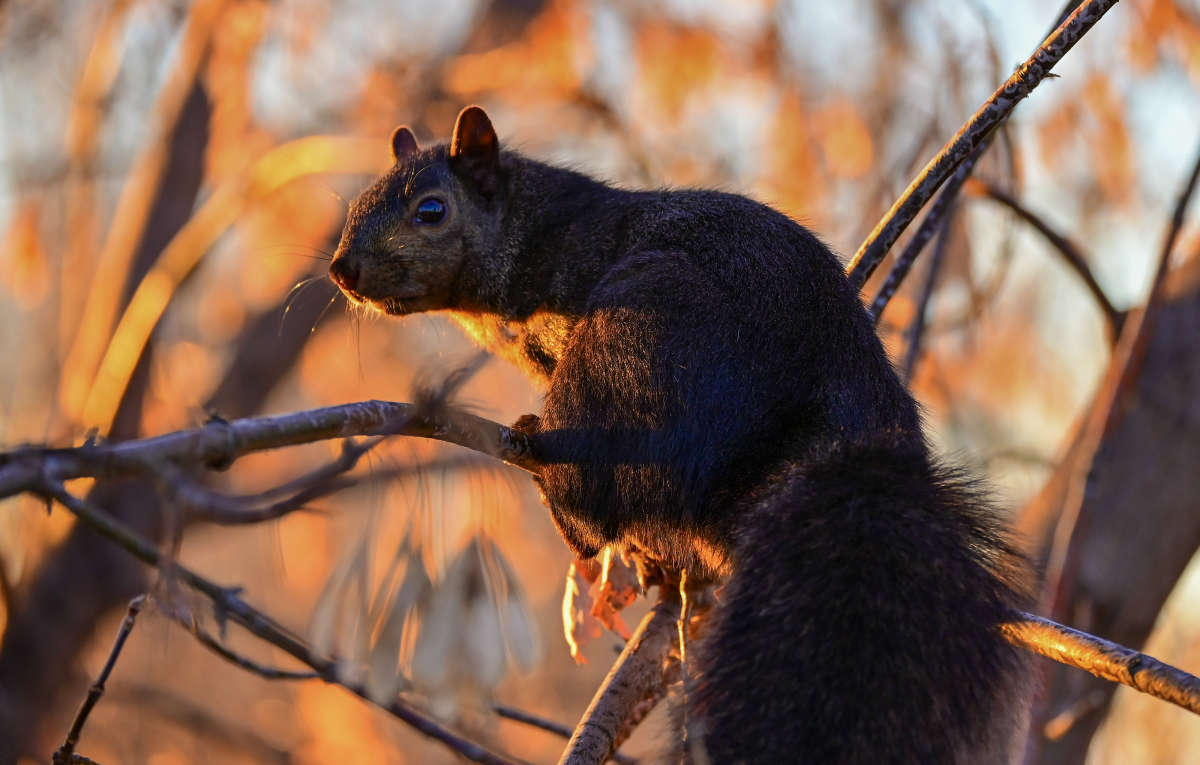 ��������! ����� �������  �� PhotoGeek.ru #�������� ���