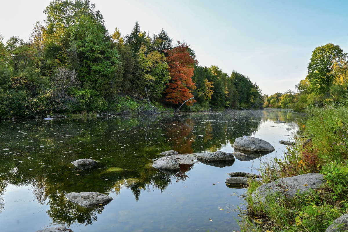 ����������� ������ ����� �������  �� PhotoGeek.ru #������ ��� �������