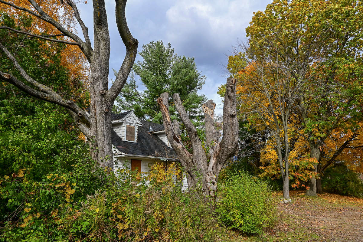 ����� �������� ����� �������  �� PhotoGeek.ru #�������� ����������