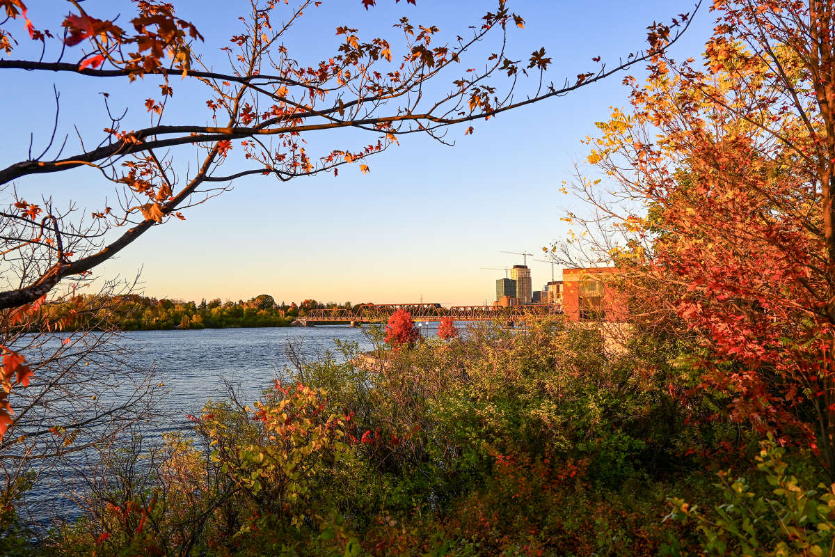 ����-�������������� ����� ����� �������  �� PhotoGeek.ru #�����