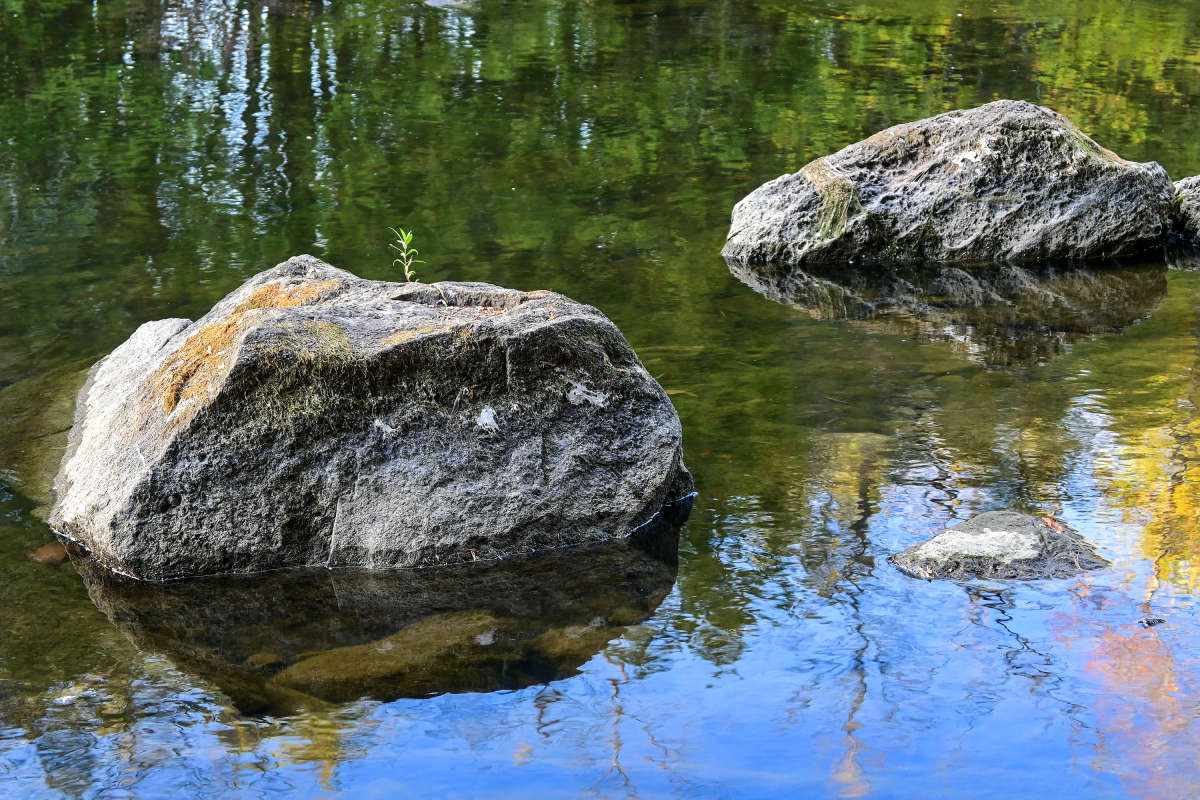 ��� � �������� ������ ������� ����� �������  �� PhotoGeek.ru #������ ��� �������