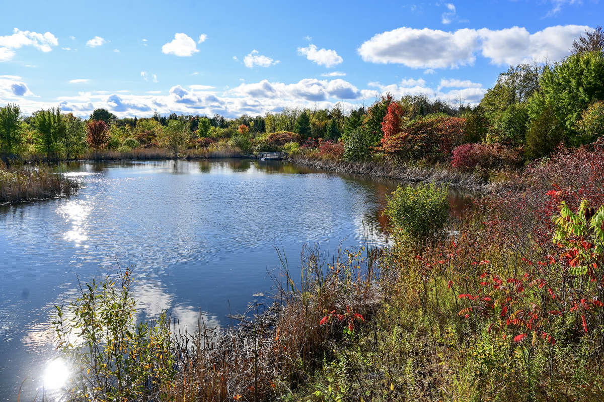 ��� �� ���� ����� �������  �� PhotoGeek.ru #������ ��� �������