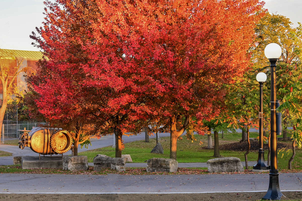 ����� �� ����� ����������� ����� �������  �� PhotoGeek.ru #�����