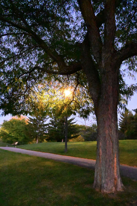 ������ ��������� ������� ����� �������  �� PhotoGeek.ru #������ ��� �������