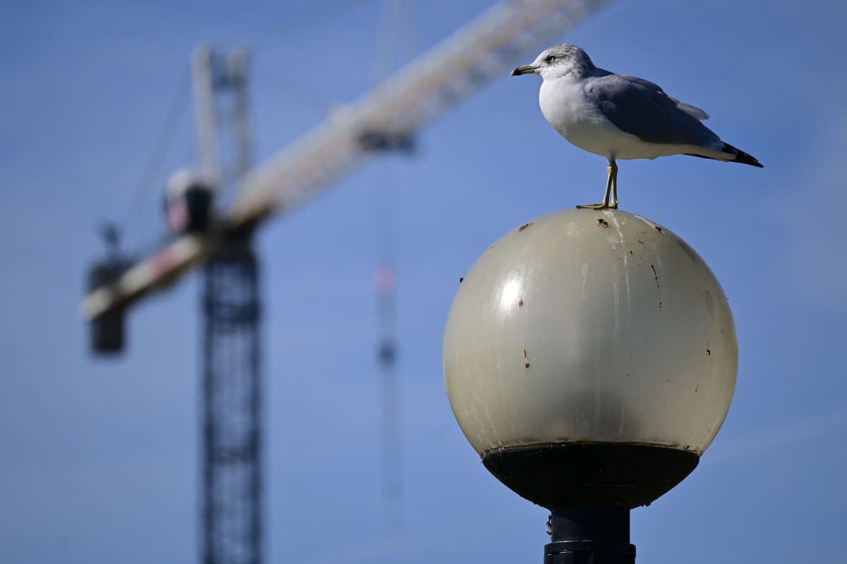 ������ ����� �������  �� PhotoGeek.ru #�������� ���