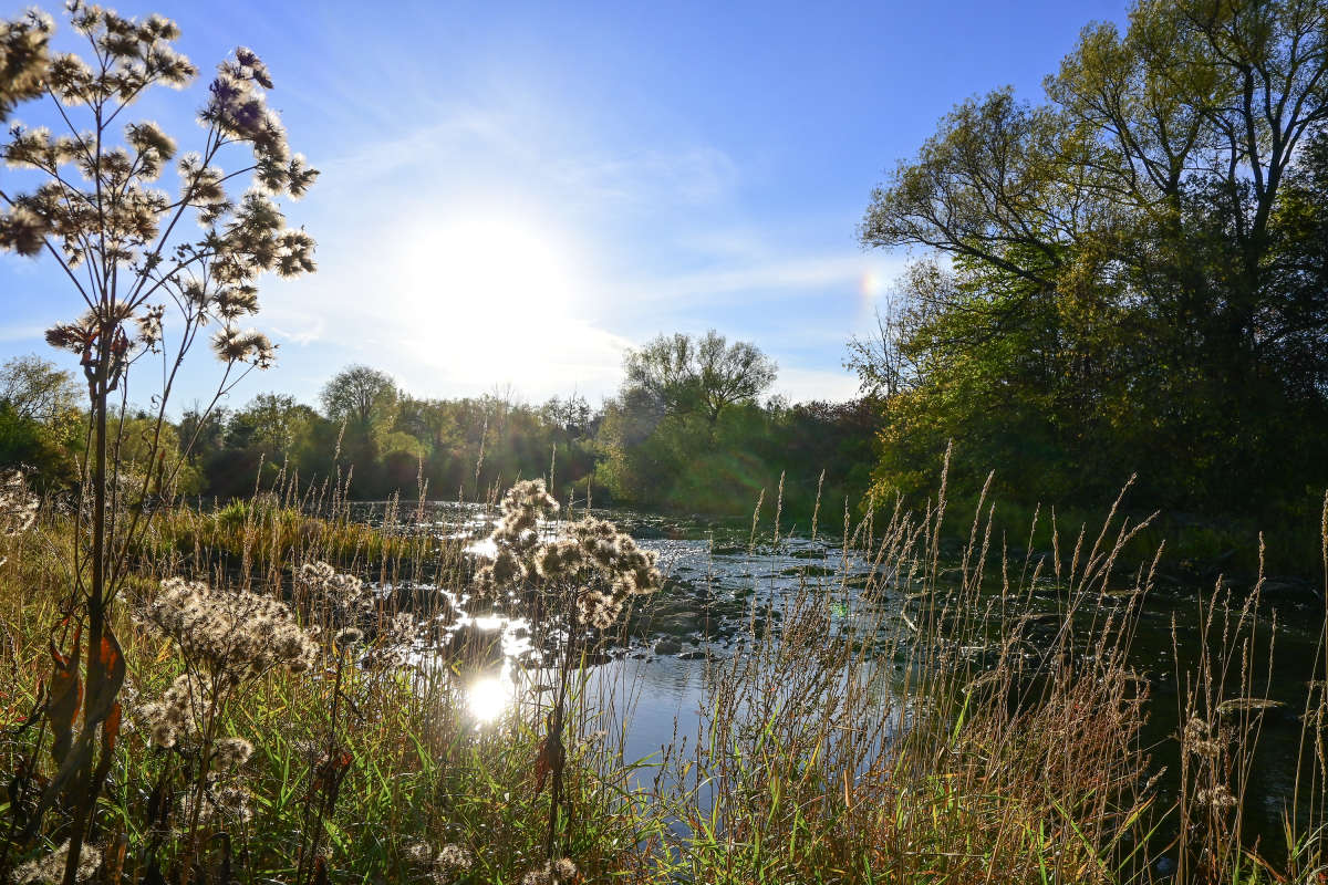 ���-��� ���� ����� �������  �� PhotoGeek.ru #������ ��� �������