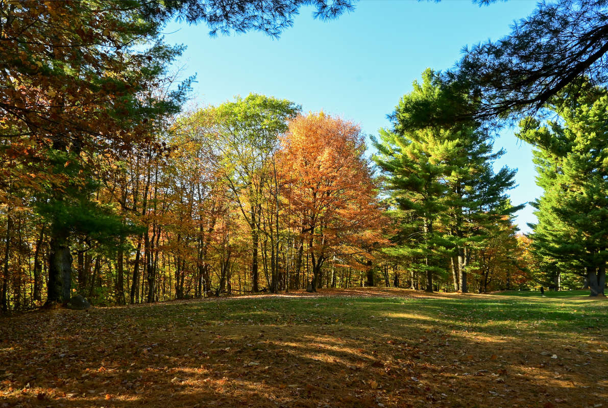 ��������� ������ ������ ����� �������  �� PhotoGeek.ru #������ ��� �������