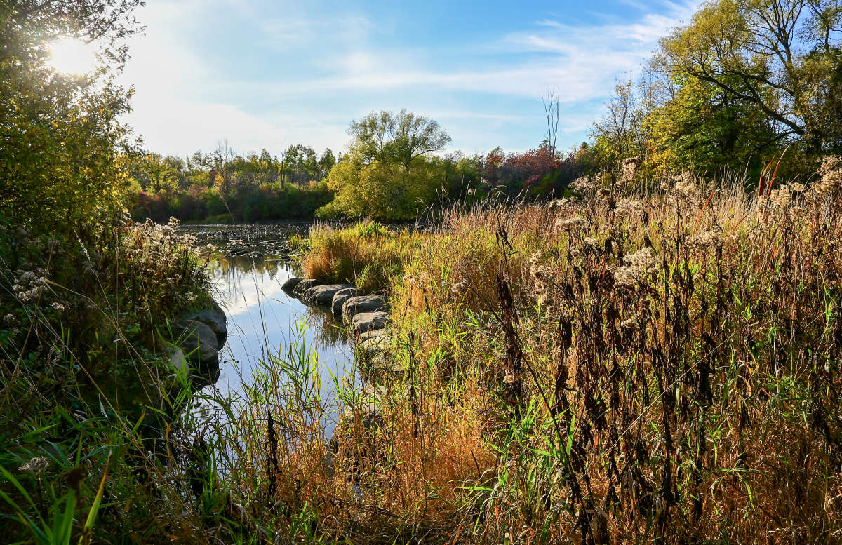 �� ������ ���� ���������� ����� �������  �� PhotoGeek.ru #����� #������ ��� �������