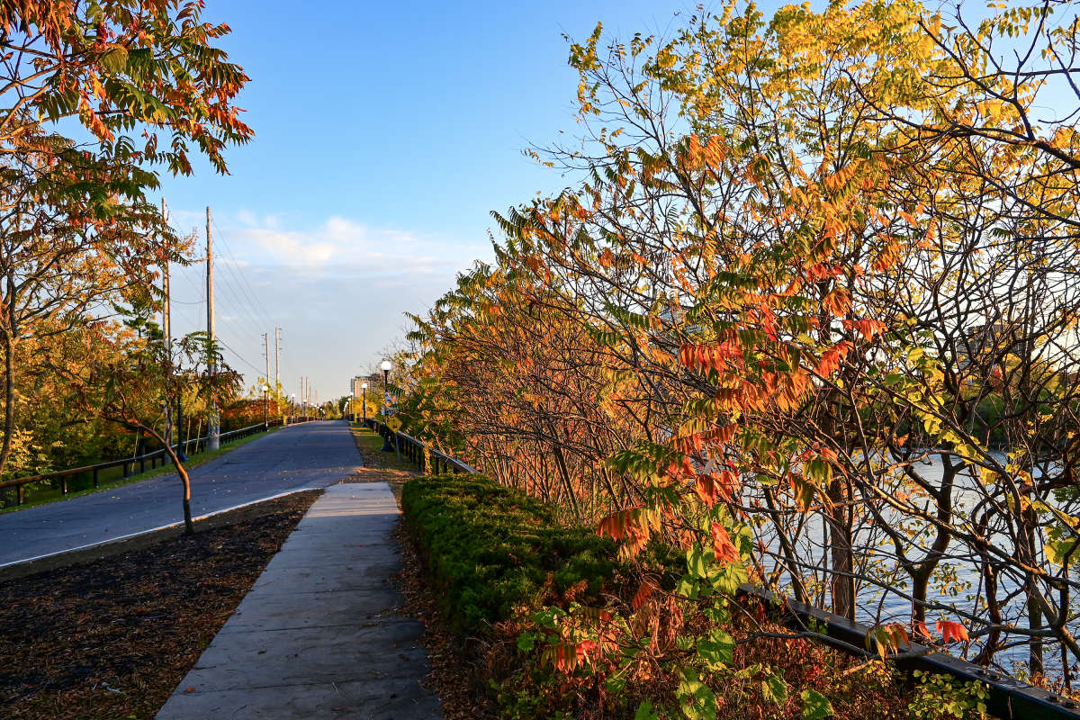 ������ ���� ����� �������  �� PhotoGeek.ru #�����