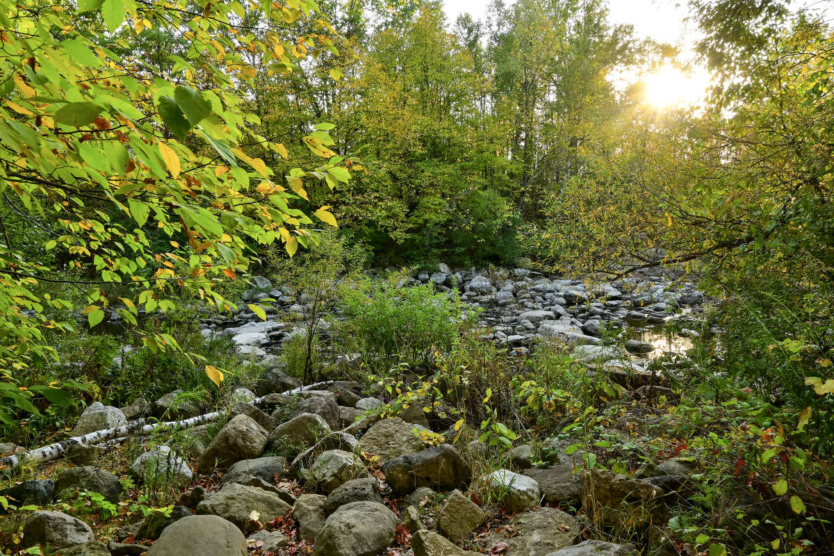 ������� ������ ����� �������  �� PhotoGeek.ru #������ ��� �������