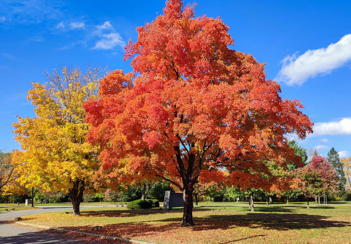 ������ ������� ����� �������  �� PhotoGeek.ru #������ ��� �������