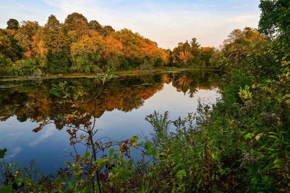 ������� ������ ����� �������  �� PhotoGeek.ru #������ ��� �������