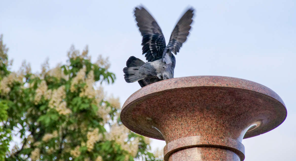 ���� ����� �������  �� PhotoGeek.ru #�������� ��� #�������� ����������