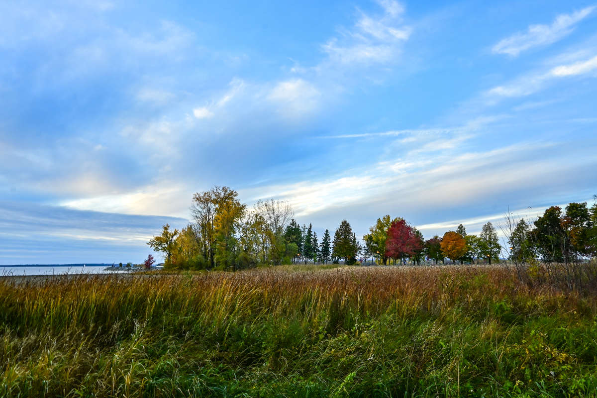 � ������ ������ ����� ���� ����� �������  �� PhotoGeek.ru #������ ��� �������