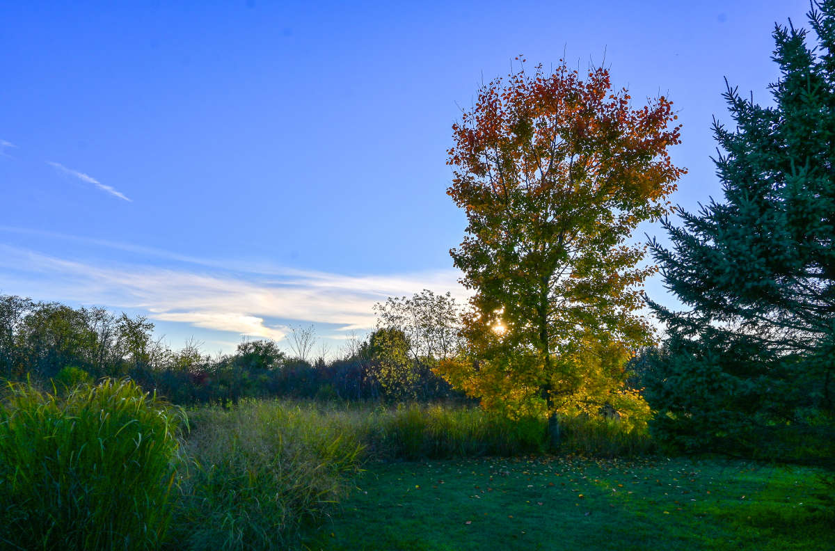 ������ �������, ������� ��������. ����� �������  �� PhotoGeek.ru #������ ��� �������