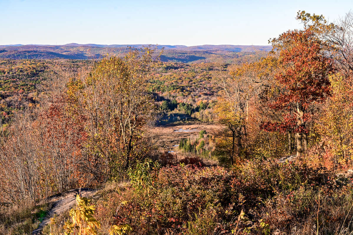 ������ ������ �����. ����� �������  �� PhotoGeek.ru #������ ��� �������