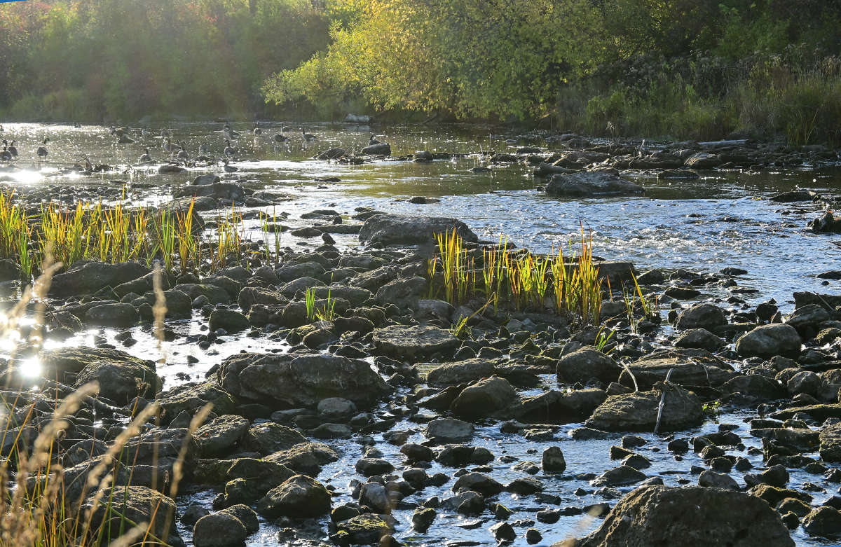 ������� ��������� ����� �������  �� PhotoGeek.ru #�������� ��� #������ ��� �������