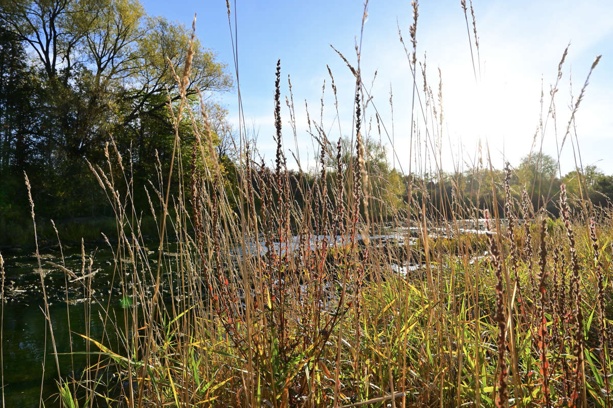 ����� �������� ����� �������  �� PhotoGeek.ru #������ ��� �������