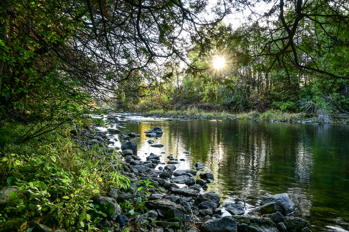 �������� �����... ����� �������  �� PhotoGeek.ru #������ ��� �������