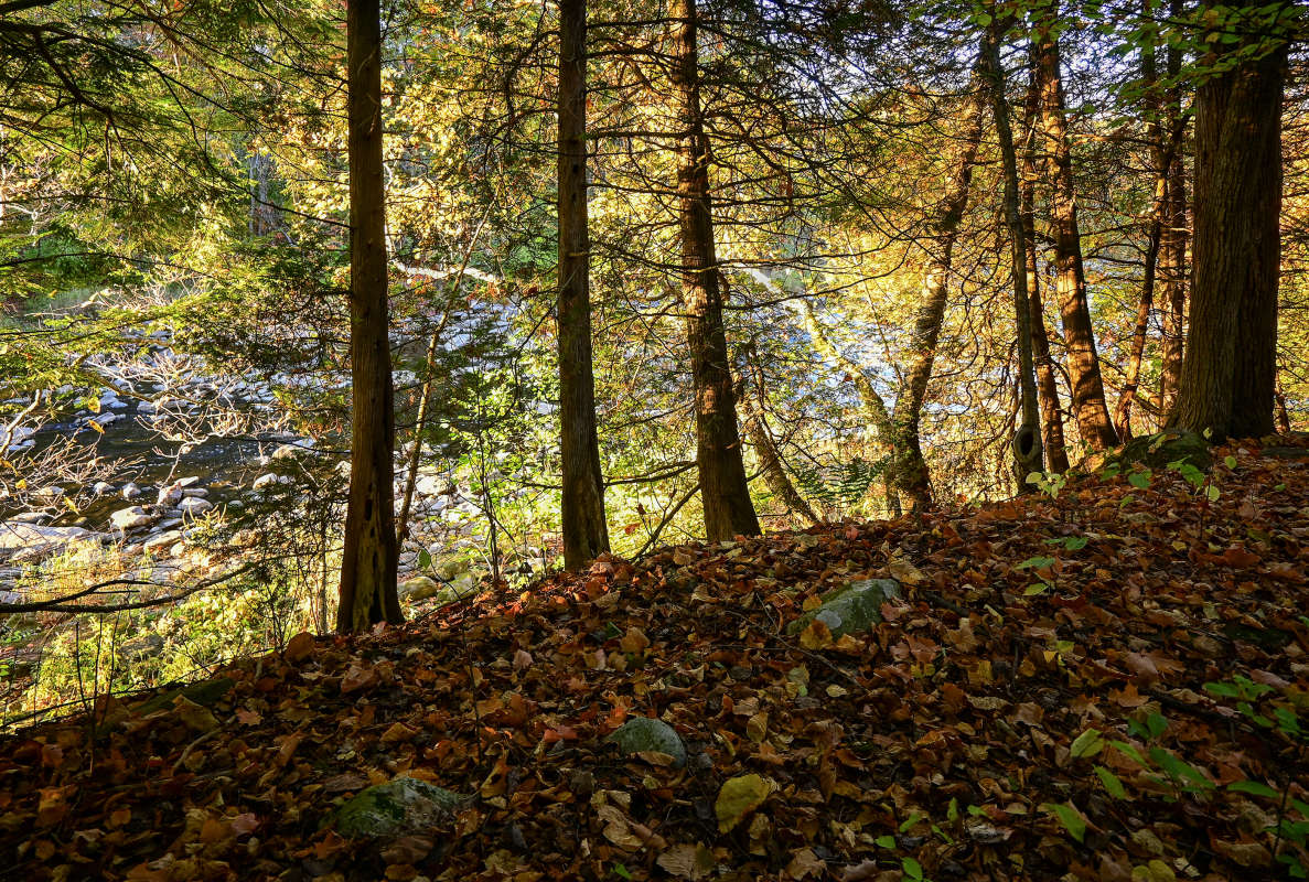 �� ��� ����� ����� �������  �� PhotoGeek.ru #������ ��� �������