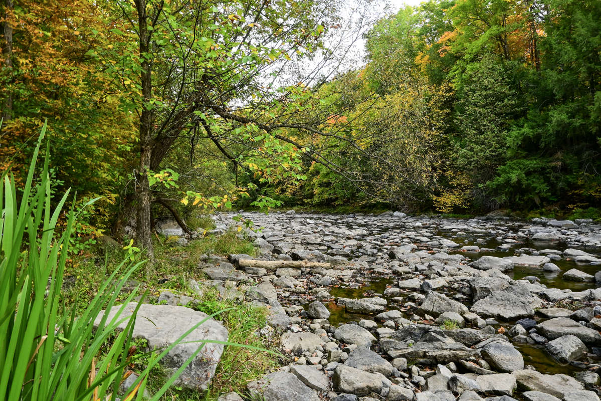 �������� �������� ����� �������  �� PhotoGeek.ru #������ ��� �������