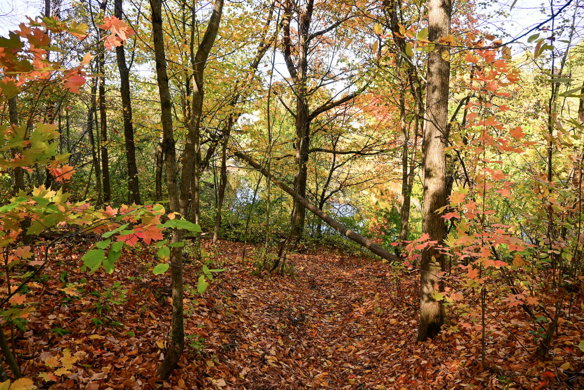 ������ ����������� ����� �������  �� PhotoGeek.ru #������ ��� �������