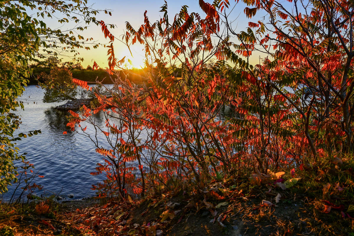 �������� �������! ����� �������  �� PhotoGeek.ru #������ ��� �������