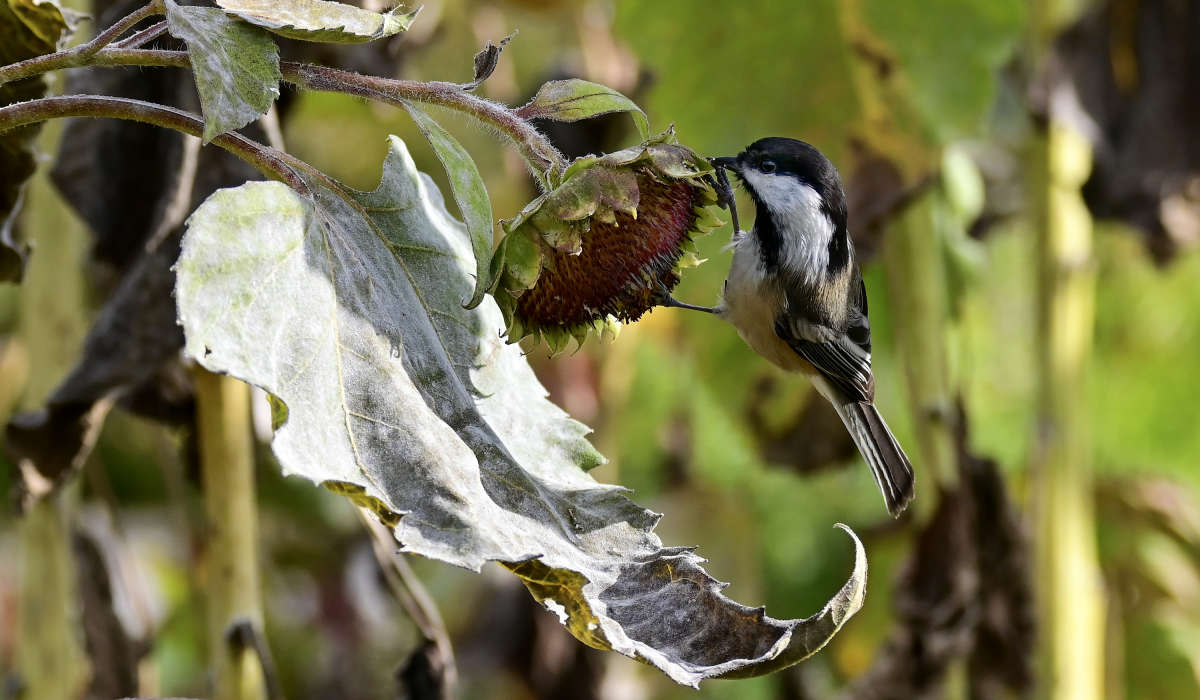 ������ ����� �������  �� PhotoGeek.ru #�������� ��� #������ ��� �������