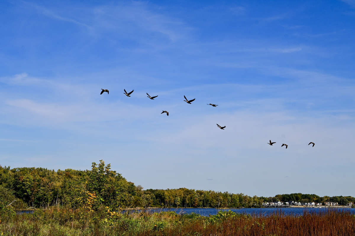 ������, ������, �� ������� ����... ����� �������  �� PhotoGeek.ru #�������� ��� #������ ��� �������