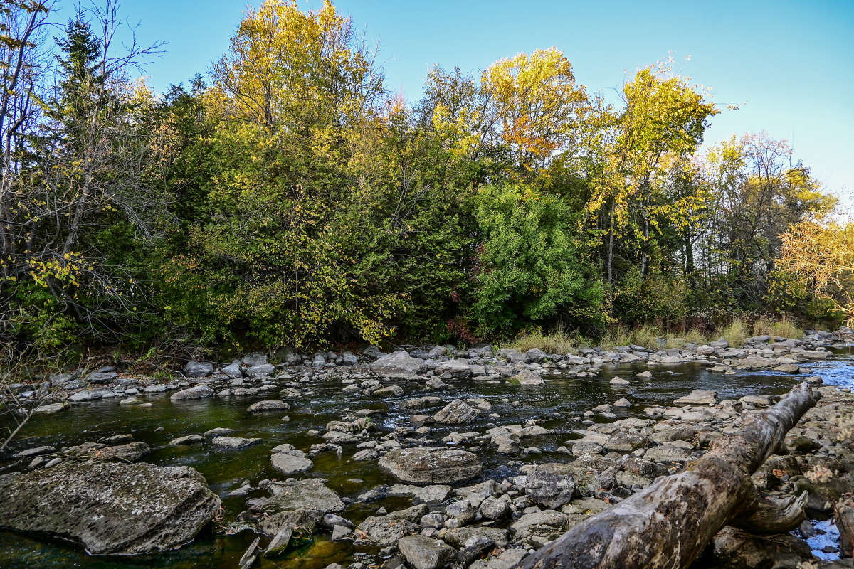 � ���������� ����� ����� �������  �� PhotoGeek.ru #������ ��� �������