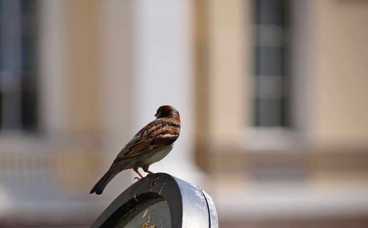 �������� ����� ����� �������  �� PhotoGeek.ru #�������� ���