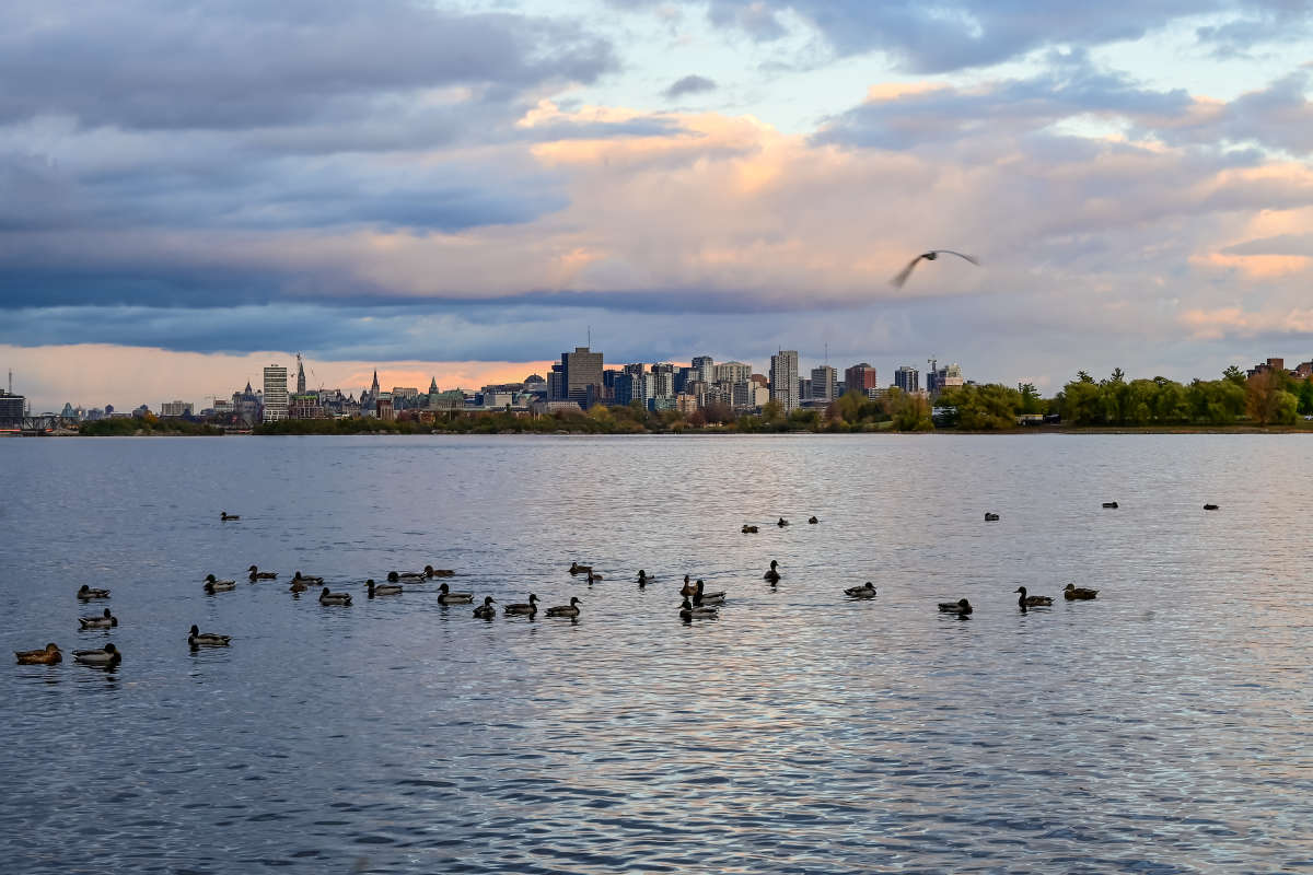 ������������ ����� �������  �� PhotoGeek.ru #����� #�������� ���