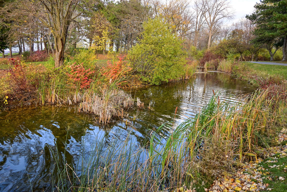 ��������� ���� ����-�� ����� �������  �� PhotoGeek.ru #������ ��� �������