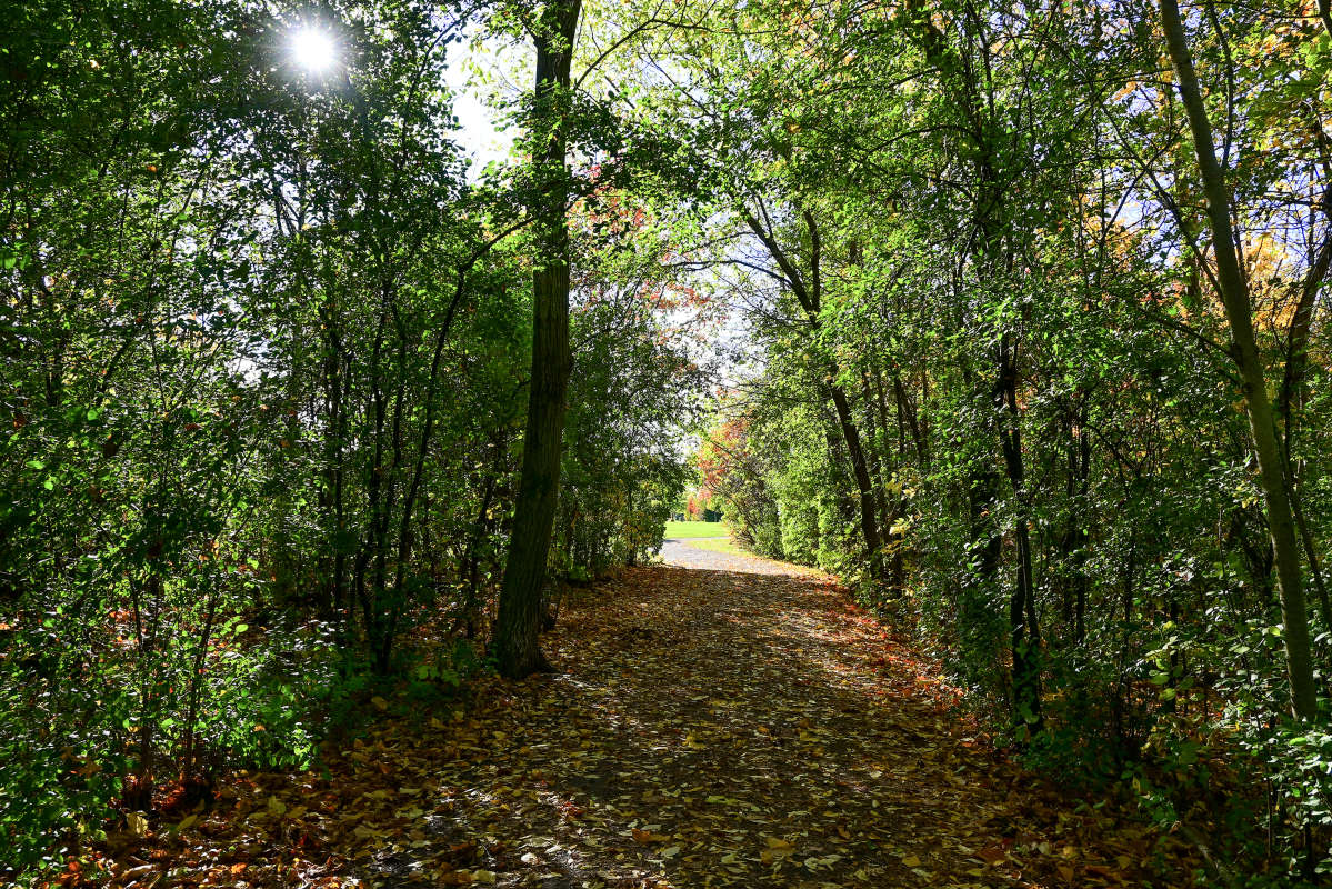 � �����! ����� �������  �� PhotoGeek.ru #������ ��� �������