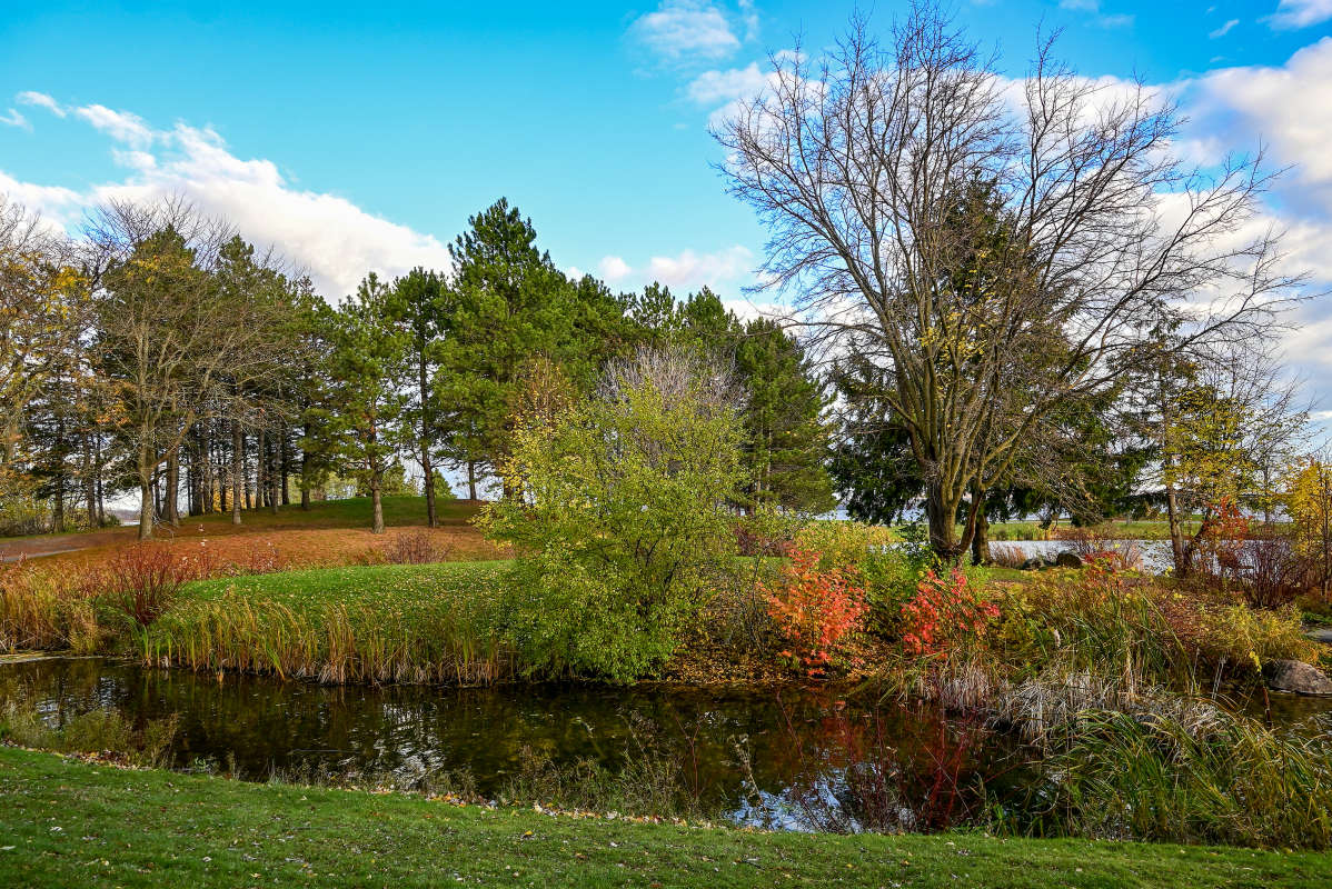 ��������� ��������� ����� �������  �� PhotoGeek.ru #������ ��� �������