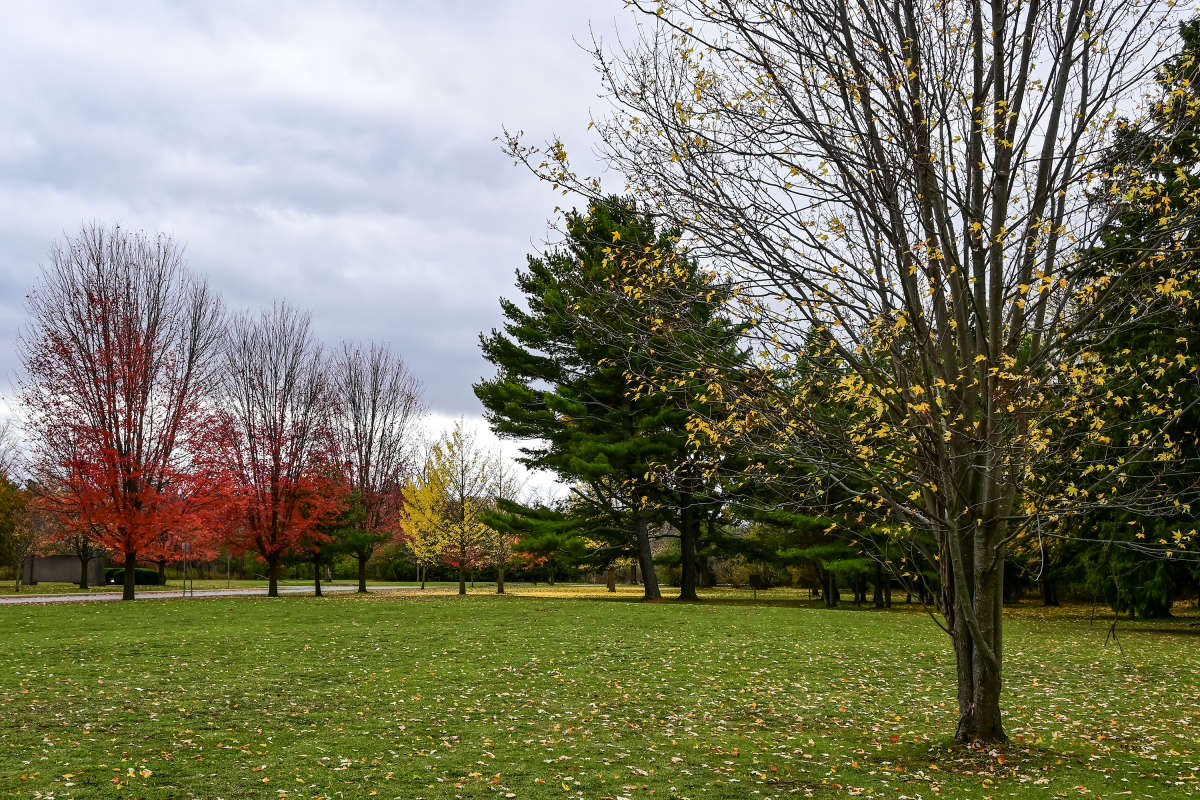 ���� ������ ����? ����� �������  �� PhotoGeek.ru #����� #������ ��� �������