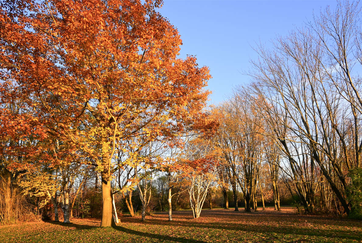 ����� ������ ���� ����� ����� �������  �� PhotoGeek.ru #������ ��� �������