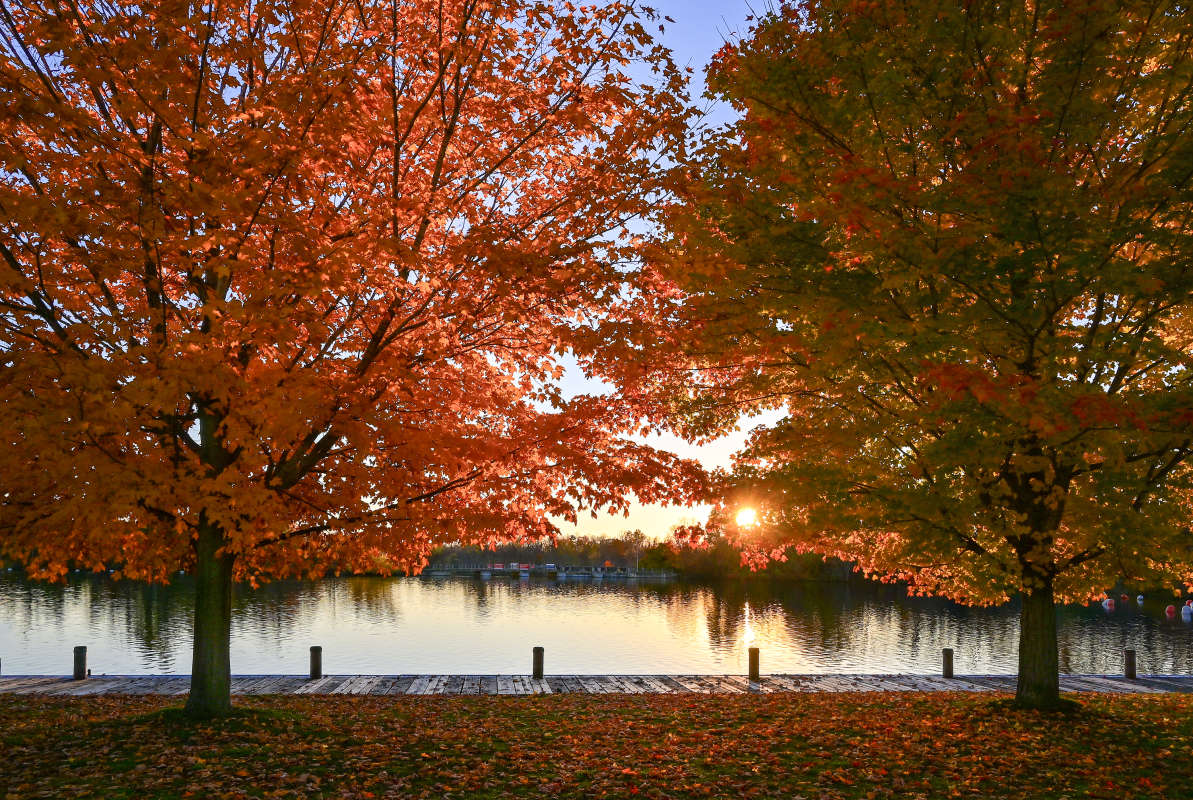 �������� - ������ �������. ����� �������  �� PhotoGeek.ru #������ ��� �������