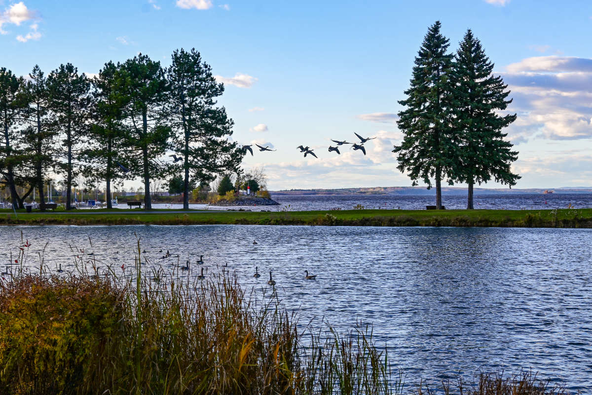 ���� ���������, ���� ��������... ����� �������  �� PhotoGeek.ru #�������� ��� #������ ��� �������