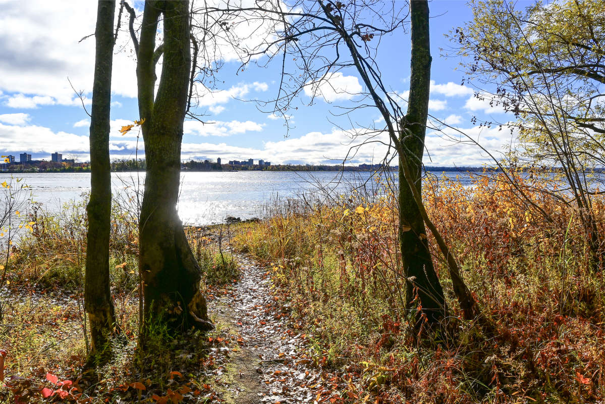 ����� � ������ ����� �������  �� PhotoGeek.ru #������ ��� �������